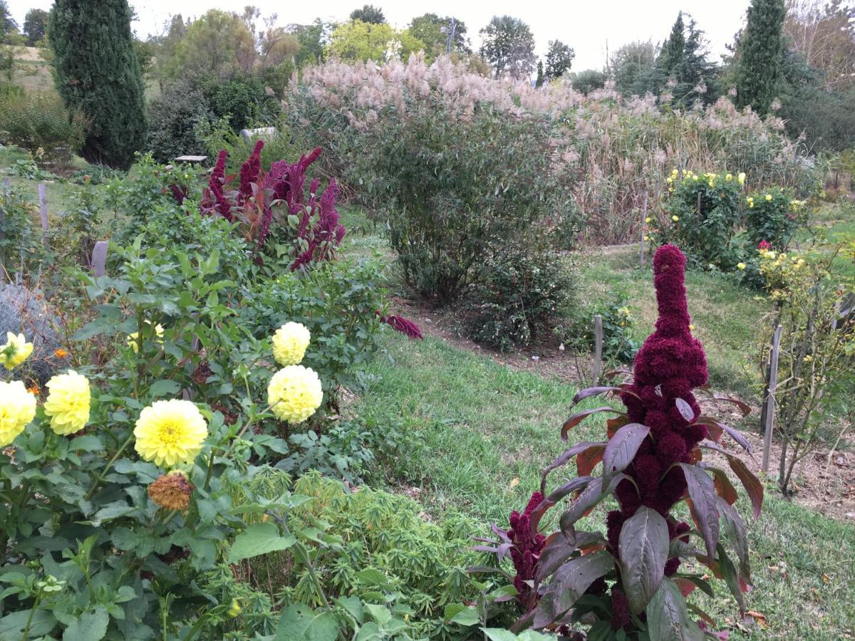 La Source, Vegetarian Guest House Chabeuil Exteriér fotografie